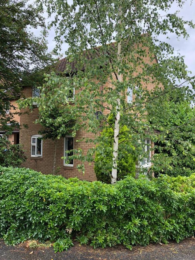 فيلا آيْلسبريفي Rowan Tree المظهر الخارجي الصورة